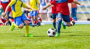 2026世界杯意甲球员完整名单及球队分布分析