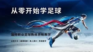 山海关足球热潮引发的绿色革命