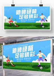 内德维德在捷克足协的职务与职责解析